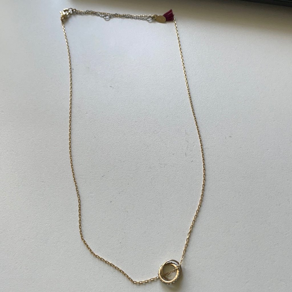 Shashi Necklace With 2 Circle Pendants